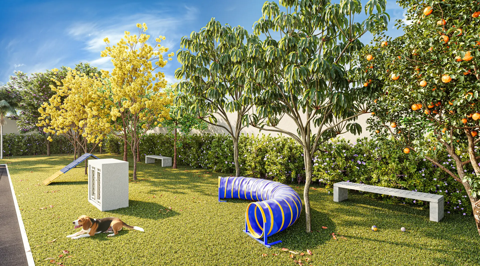 Perspectiva ilustrativa: pet place com túnel e rampa de agility — Best Barra Funda